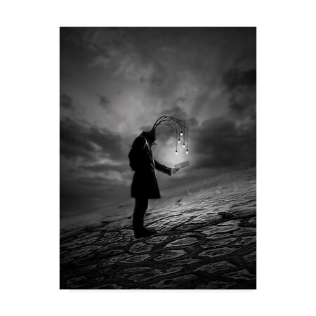 Trademark Fine Art David Senechal Photographie 'The Reader Abstract' Canvas Art, 24x32 1X07482-C2432GG